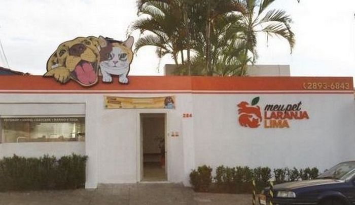 Todo brasileiro tem um gênio do marketing em si (32 fotos) 5