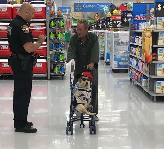 30 vezes que as pessoas não podiam acreditar em seus olhos nas lojas 13