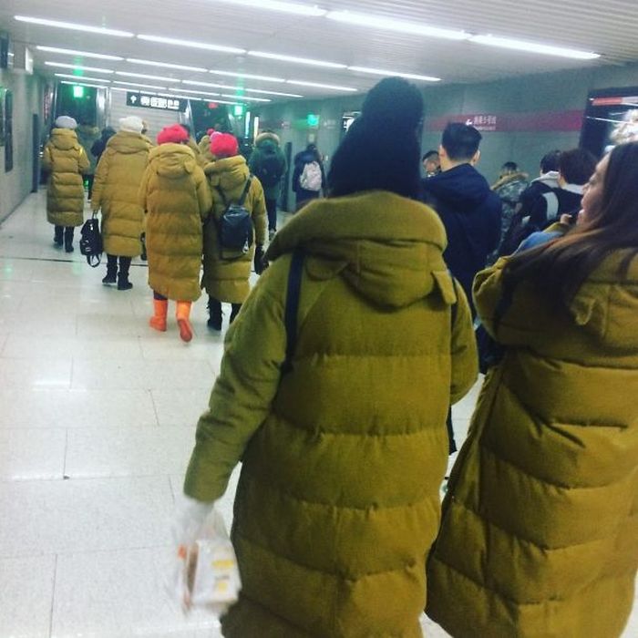 31 vezes que as pessoas viram falhas reais na Matrix 26