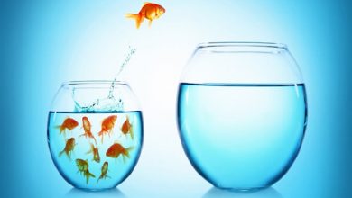 5 passos para quebrar a rotina e sair da zona de conforto 8