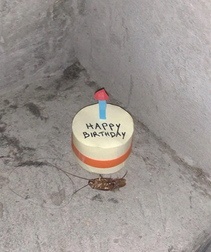 A mini-série de uma barata que morre no vão das escadas 2