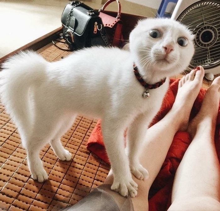25 animais que contam uma história completa sem dizer uma palavra 3 Há obviamente algo assustador nos bastidores