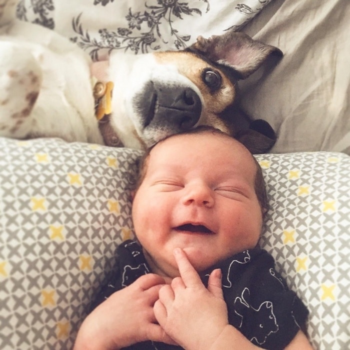 25 animais que contam uma história completa sem dizer uma palavra 15 Eu ainda sou seu adorável né menino?