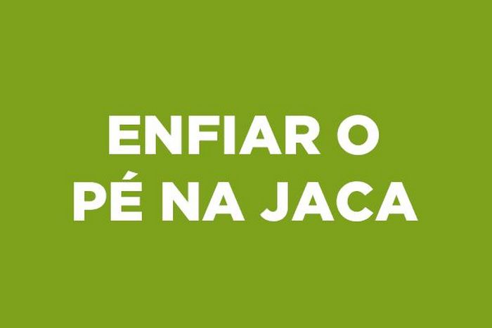 14 expressões populares brasileiras com comida 11