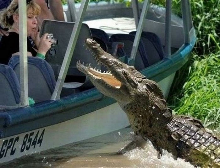 Tira uma foto minha humana