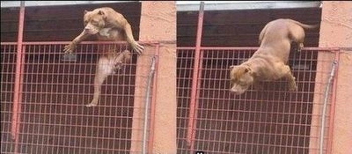 Nesse momento, Corra