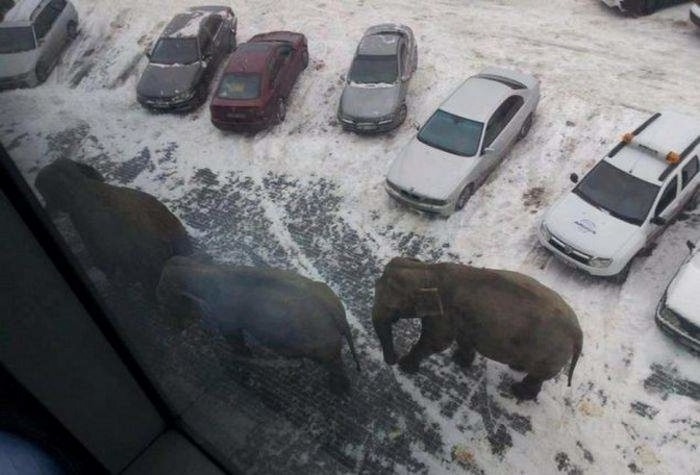 Temos muitas perguntas