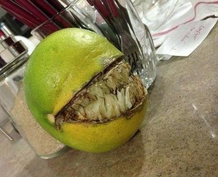 Será que isso é um limão de filme de terror?