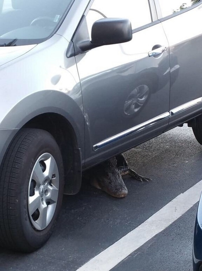 Parece que eu não vou para casa hoje.