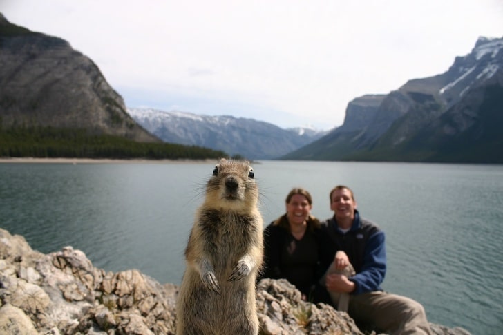 Photobomb profissional