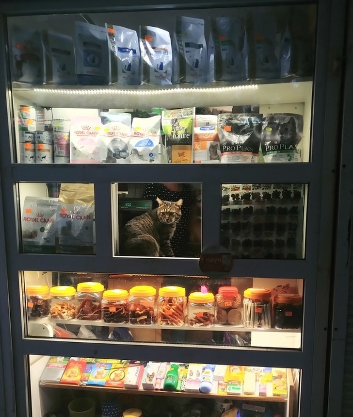 O melhor vendedor que você pode sonhar