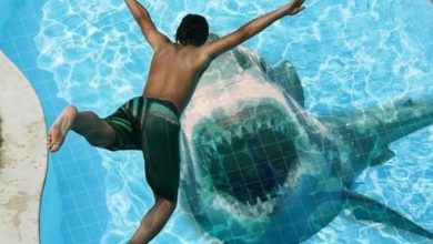 15 idéias de design que podem levar sua casa a outro nível 56