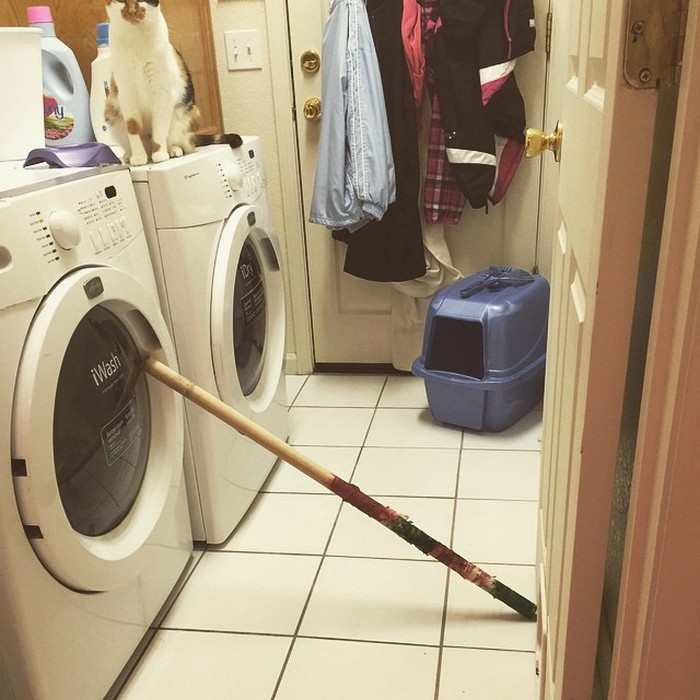 Decisões inteligentes está em toda parte