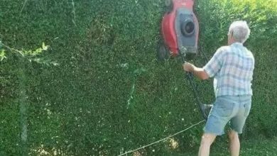 15 ideias em que a criatividade e a estupidez se uniram para criar coisas muito curiosas 40