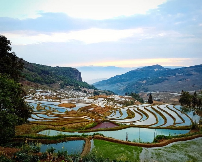 Terraços de Arroz Yuanyang, China.
