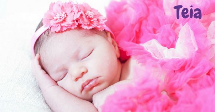 Teia