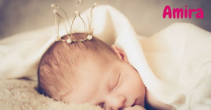 Amira