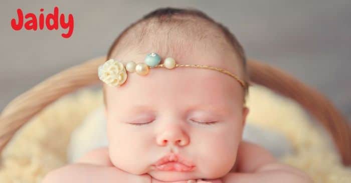 Jaidy