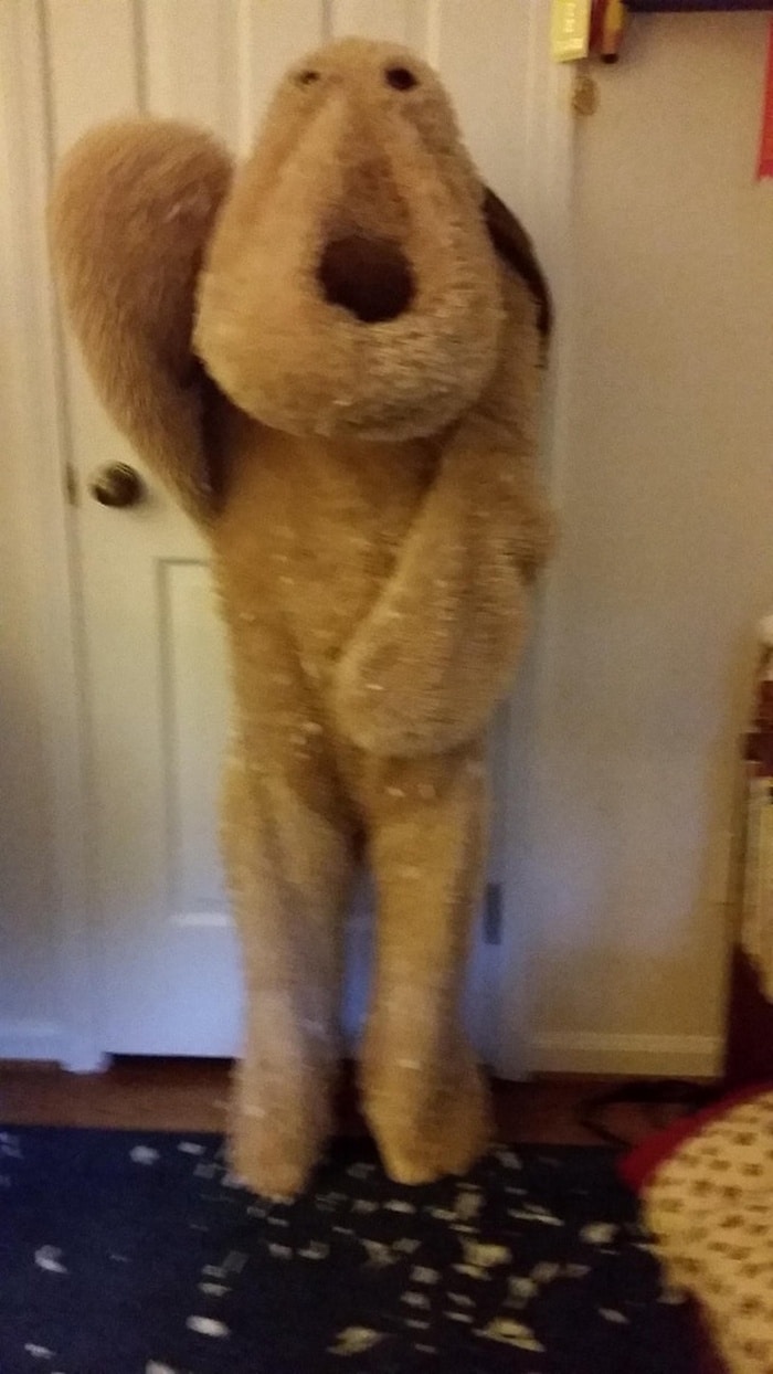 Meu irmão pegou um cachorro de pelúcia gigante e fez uma fantasia com ele
