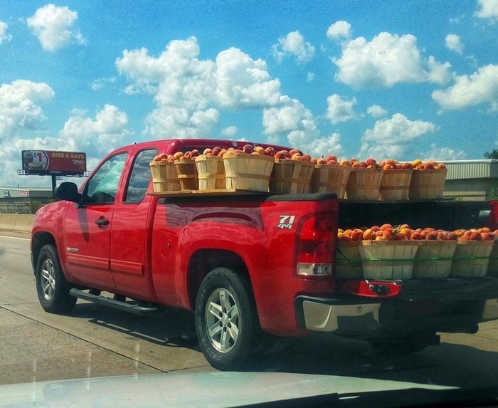 18 pessoas que sua CNH deve ser suspensa para sempre 16