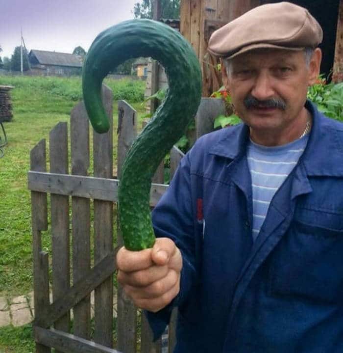 Rússia, onde tudo é meio diferente (22 fotos) 16