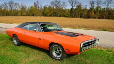 7 carros batizados com nomes de animais