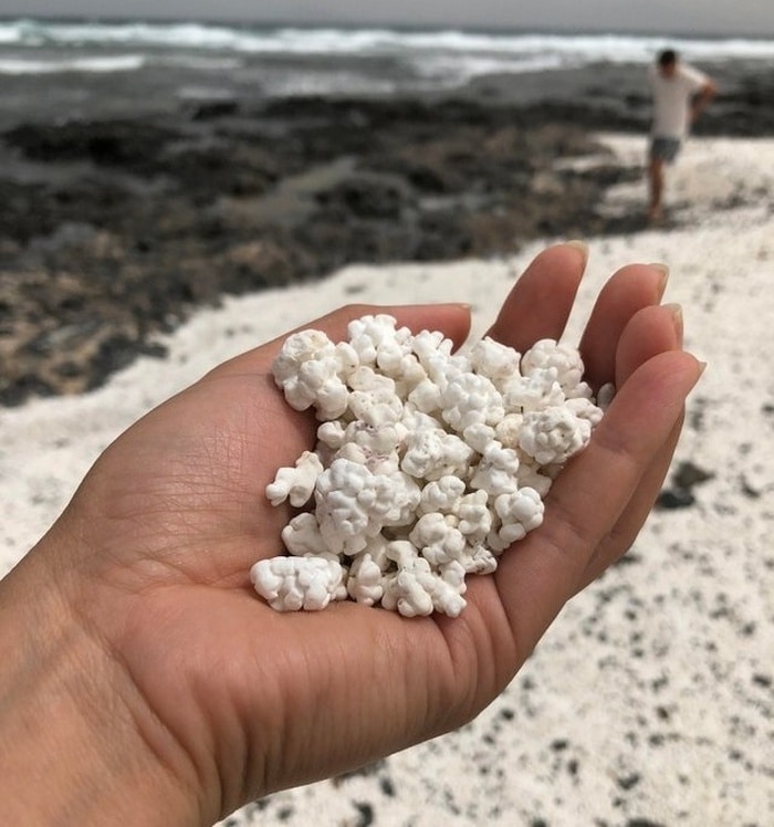 24 coisas que parecem muito com alimentos que podem fazer você se sentir com fome 14