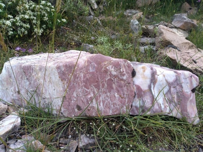 24 coisas que parecem muito com alimentos que podem fazer você se sentir com fome 16