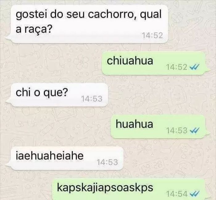 15 conversas com piadas ruim que que são geniais 6