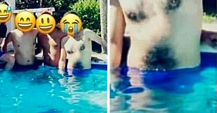 Uma grande camisa com estampa de cachorro... mas espere