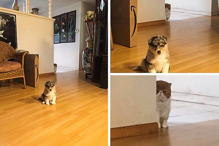 Nem todos os membros da família estão satisfeitos