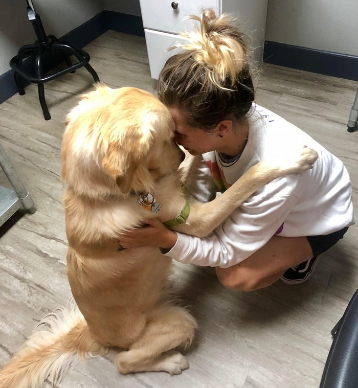 17 histórias emocionantes sobre animais cheias de amor e amizade 8