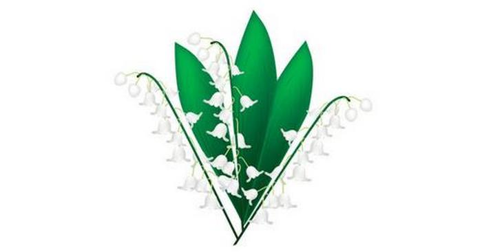 Maio - Lírios do Vale