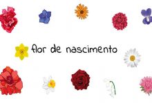 Você sabe qual é a flor do seu nascimento? 10