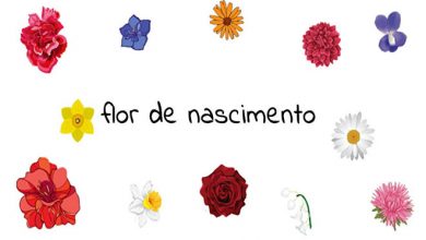 Você sabe qual é a flor do seu nascimento? 5