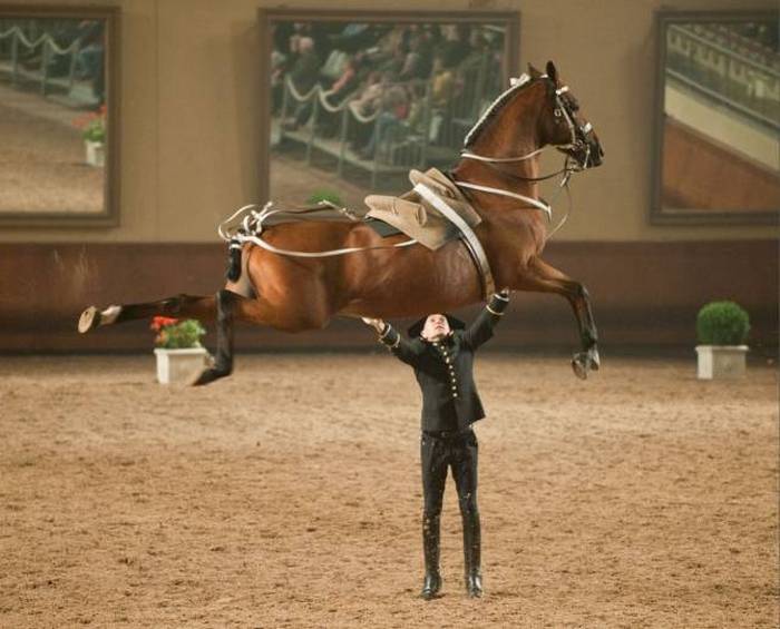 Bem, agora estou confuso (26 fotos) 6