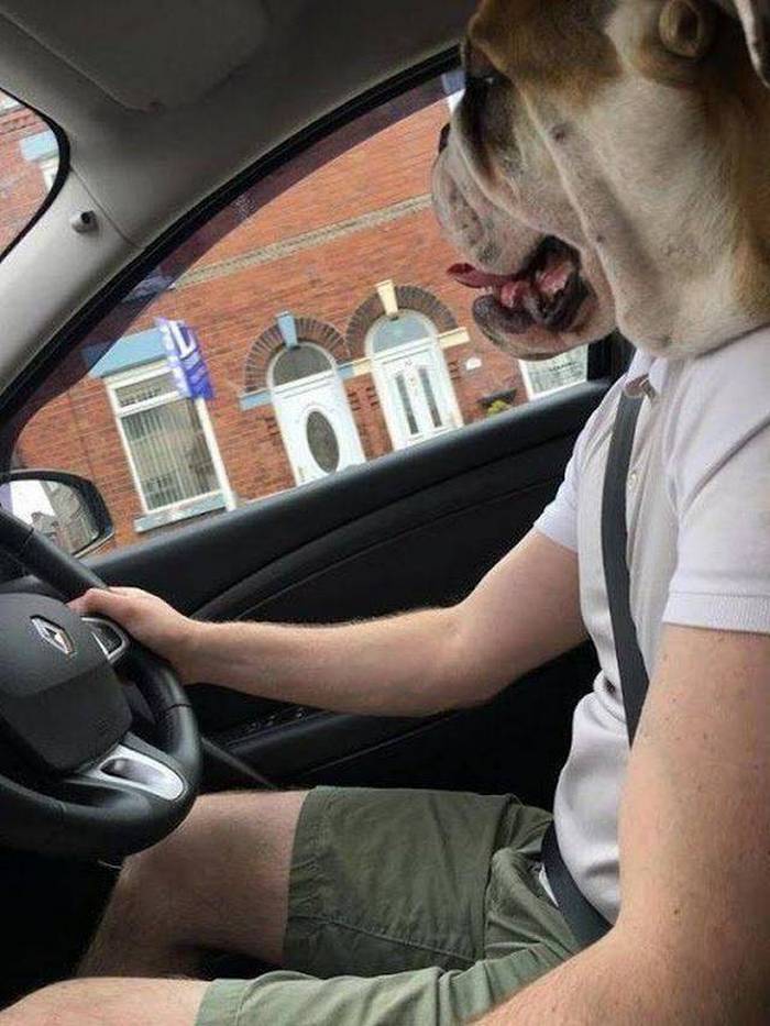 Bem, agora estou confuso (26 fotos) 19