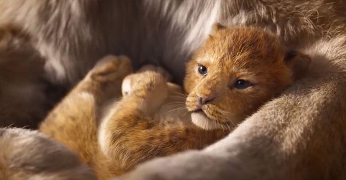 Alguém comparou o Rei leão de 1994 a animação com o filme 2019 3