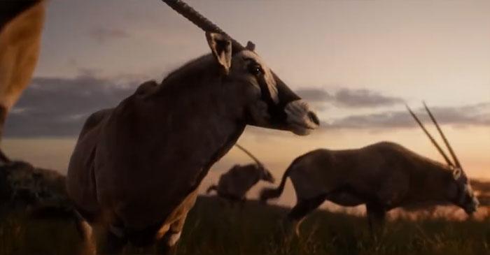 Alguém comparou o Rei leão de 1994 a animação com o filme 2019 10