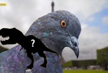 15 fatos absurdos que se revelaram verdadeiros 13