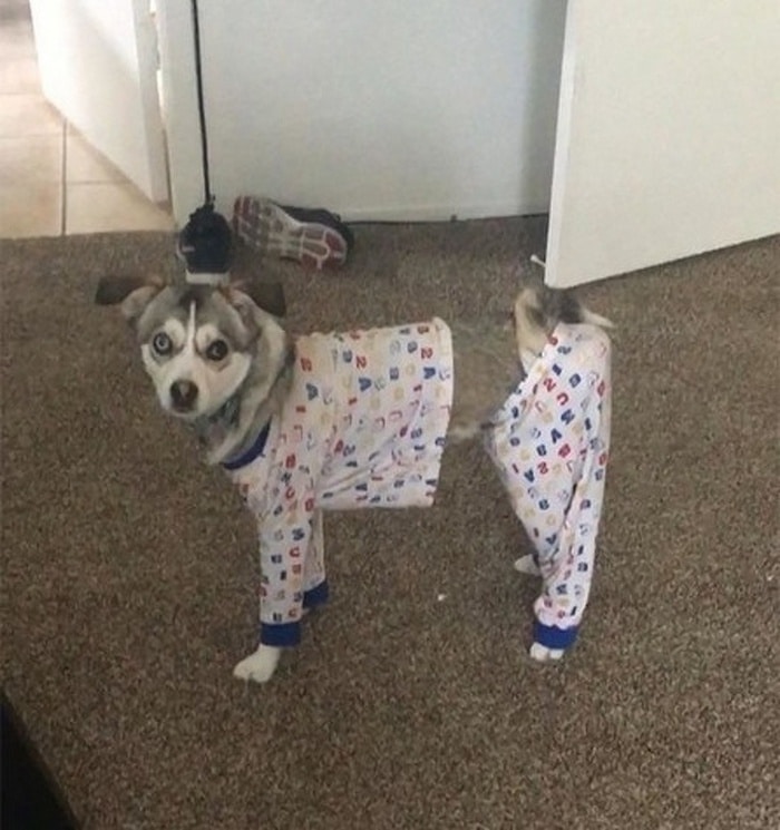 23 fotos para você desafiar seus olhos e seu cérebro 1