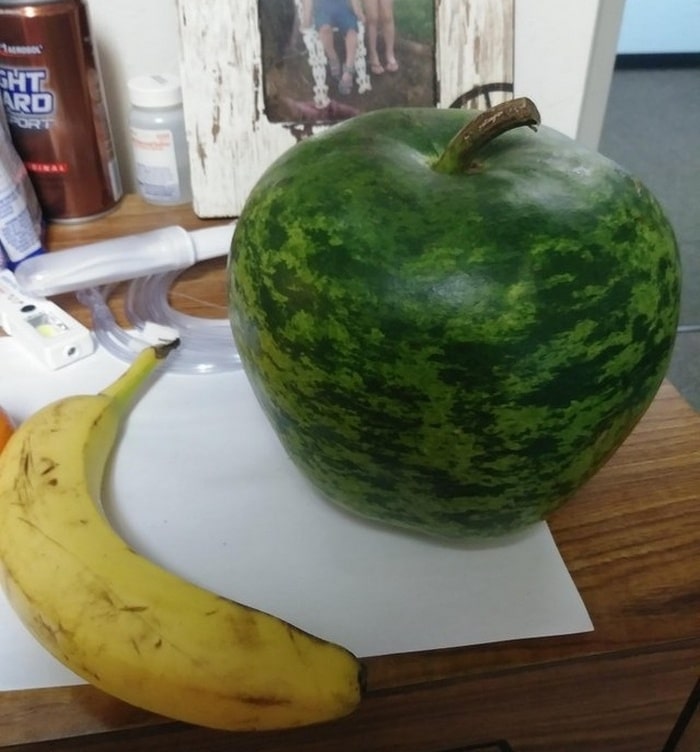 23 fotos para você desafiar seus olhos e seu cérebro 14