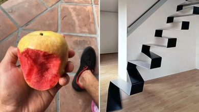 23 fotos para você desafiar seus olhos e seu cérebro 21