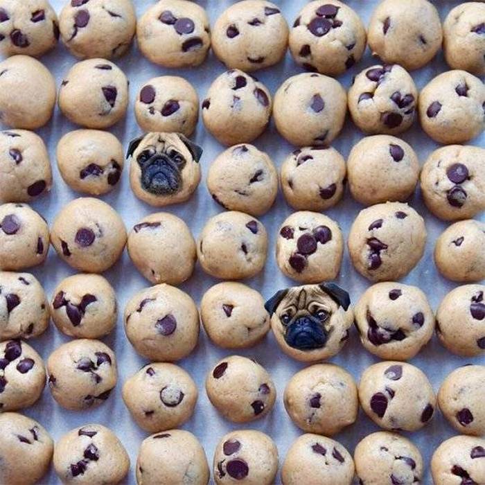 Os mestres do photoshop (28 fotos) 14