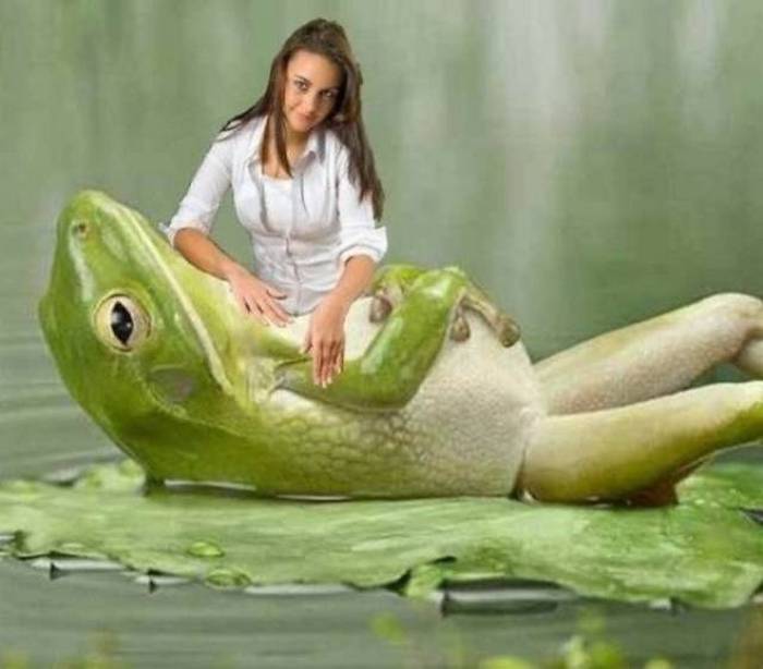 Os mestres do photoshop (28 fotos) 17