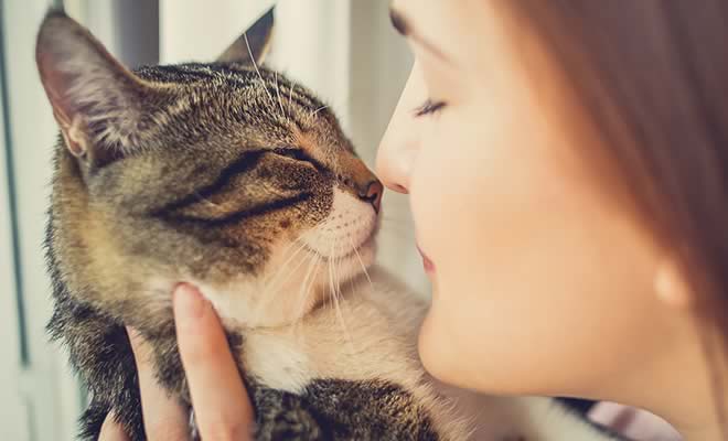 5 bons motivos para conviver com um gato