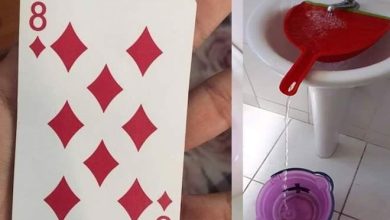 17 fatos de Quantos anos você tinha quando descobriu 7