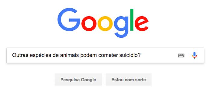 12 pesquisas doidas já feitas no Google 8