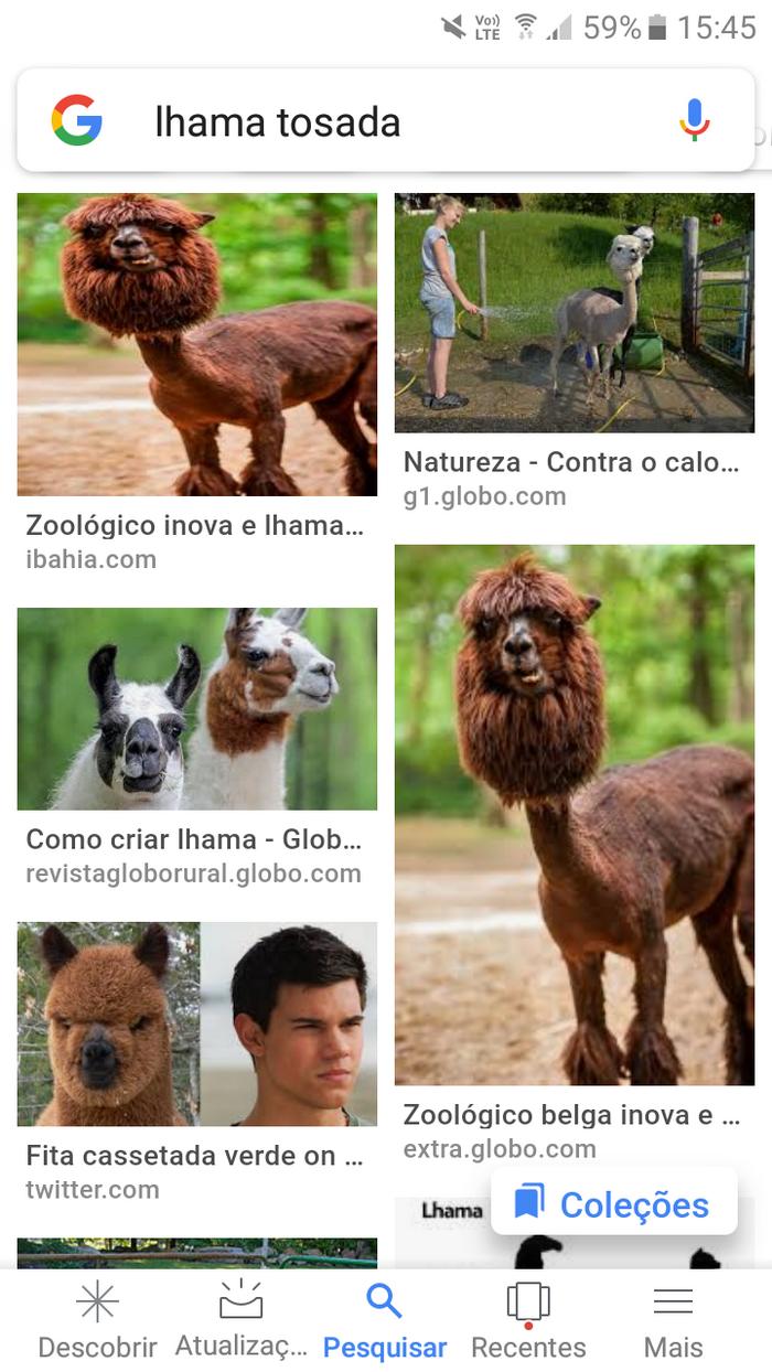 12 pesquisas doidas já feitas no Google 10