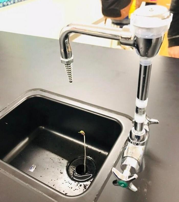 14 pessoas tão calmas que causam inveja até em monges budistas 4